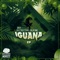 Iguana - Playme lyrics