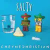 Stream & download Salty - Single