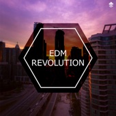 EDM Revolution artwork