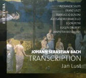 Schafe können sicher weiden, BWV 208 - transcribed by Egon Petri artwork