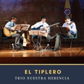 El Tiplero artwork