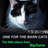 One for the Barn Cats