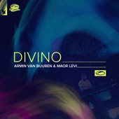 Divino artwork