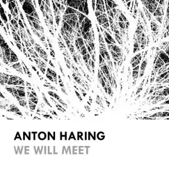 We Will Meet by Anton Haring album reviews, ratings, credits
