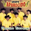 Grupo Aparecido - El Rincón de Mi Viejo