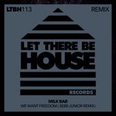 We Want Freedom (Sebb Junior Extended Remix) artwork