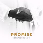 Promise artwork