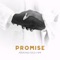 Promise artwork