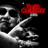Popa Chubby - Sympathy for the Devil (Live)