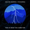 CALVIN HARRIS/RIHANNA - This Is What You Came For (Record Mix)
