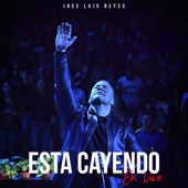 Esta Cayendo (En Vivo) artwork