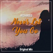 Never Let You Go artwork