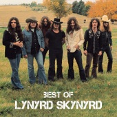 Lynyrd Skynyrd - Simple Man