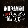 Andrea Sannino - Andrè (Live)