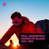 Perfecto Black 2021 (DJ Mix) artwork