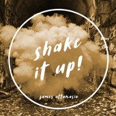 Shake It Up! artwork