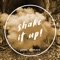 Shake It Up! artwork
