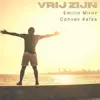 Stream & download Vrij Zijn (feat. Convex Kafka) - Single