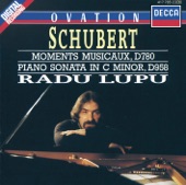Schubert: 6 Moments musicaux & Piano Sonata in C Minor, D.958 artwork