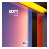 EDM Essential, Vol. 1 artwork