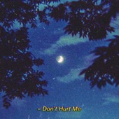 Don't Hurt Me artwork