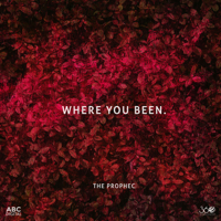 The PropheC - Where You Been artwork
