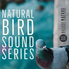 Natural Bird Sound Series by Natural Sound Makers, Nature Recordings & Nature Sound Series album reviews, ratings, credits