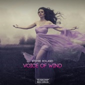 Voice of Wind artwork