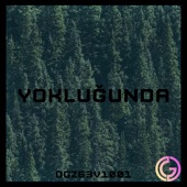 Yokluğunda (Deluxe Edition) artwork