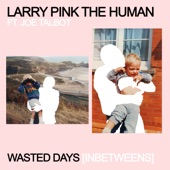 WASTED DAYS (INBETWEENS) [feat. IDLES] artwork