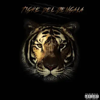 Tigre Del Bengala - Single by Schema album reviews, ratings, credits