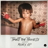 Trust the Process Remix EP artwork