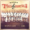 Banda Triguera - Danza Coyote