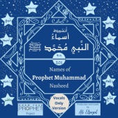 201 Names Of Prophet Muhammad (Vocals Only) artwork