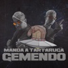 DJ Ery - Manda a Tartaruga Gemendo