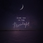Miss You in the Moonlight artwork