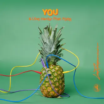 You (feat. Flynn) - EP by Lost Frequencies & Love Harder album reviews, ratings, credits