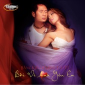 Bởi Vì Anh Yêu Em artwork