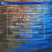 Violin Concerto No. 1 in D Major, Op. 6, MS. 21: 1. Allegro maestoso artwork