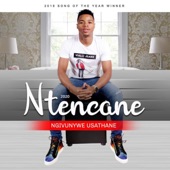 Ngivunywe Usathane - EP artwork