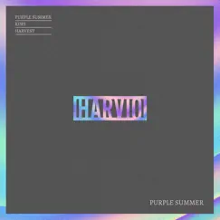 Purple Summer - Single by Harvio album reviews, ratings, credits