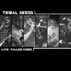 Fallen Kings (Live) - Single album lyrics, reviews, download