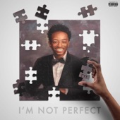 I'm Not Perfect artwork