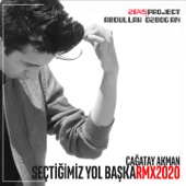 Seçtiğimiz Yol Başka (Abdullah Özdoğan Remix, 2645 Project, Vol. 2) artwork