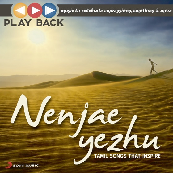 Cover artwork for Aanandha Yaazhai (From "Thangameenkal")