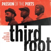 Passion of the Poets artwork