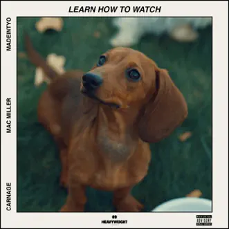 Learn How to Watch (feat. MAC MILLER & MadeinTYO) - Single by Carnage album reviews, ratings, credits