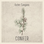 Conifer - Single