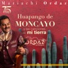 Huapango de Moncayo y las canciones de mi tierra