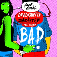 David Guetta & Showtek & Vassy - Bad